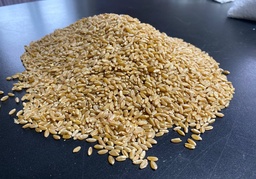 Пшеница твердая Дамсинская янтарная
